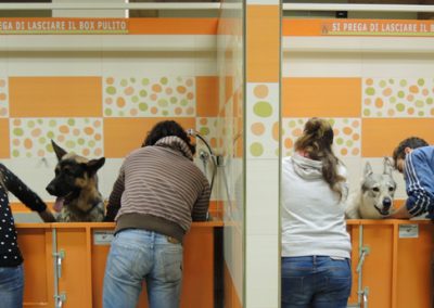 Bolle e Ciuffi - Lavaggio self service per cani di tutte le taglie